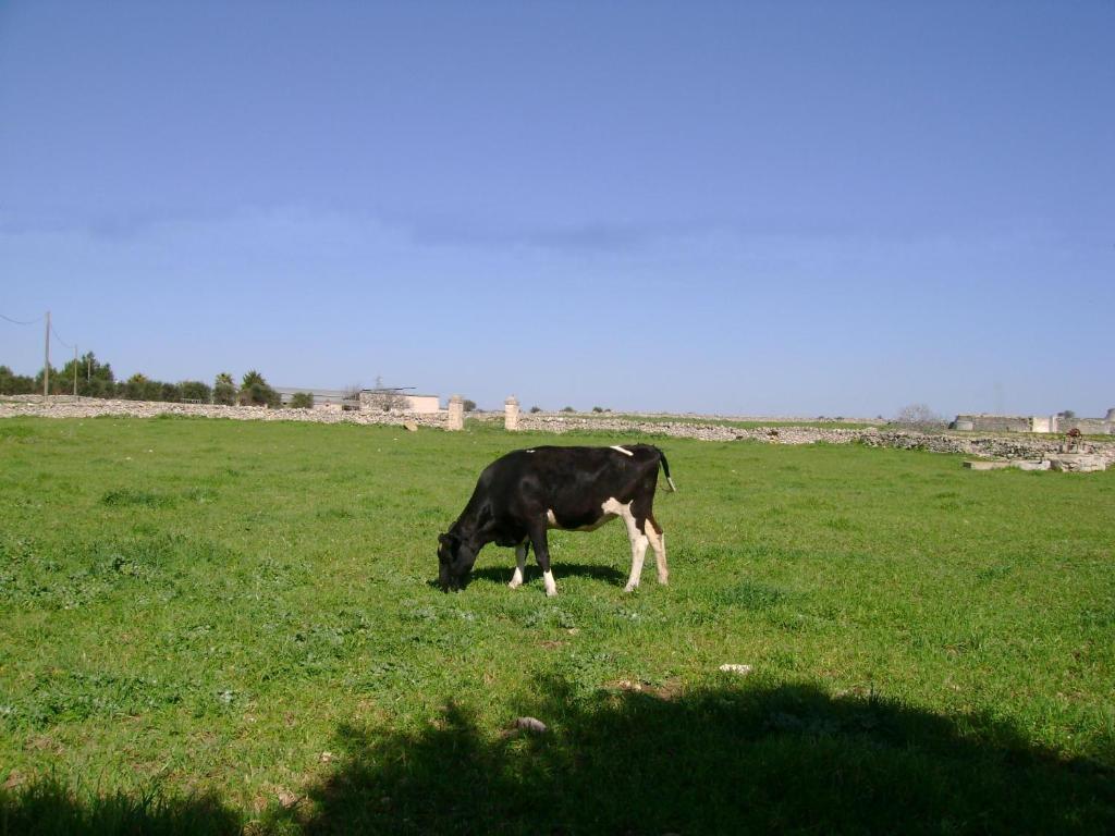 Masseria Cassiere Mottola Exteriér fotografie